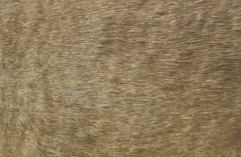 download Object oriented programming in download Object