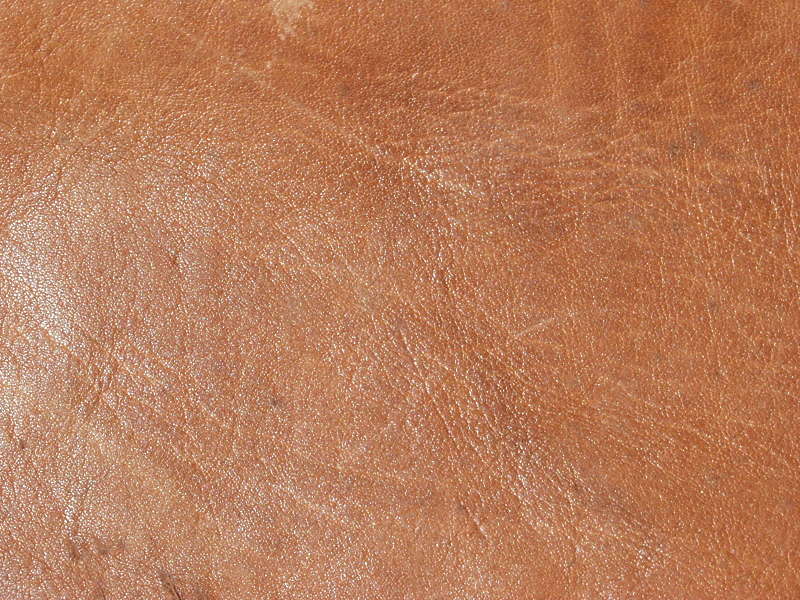 Leather0006 - Free Background Texture - leather brown glossy shiny orange saturated