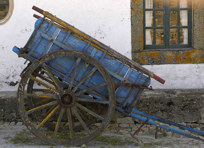 shop The American Political Process