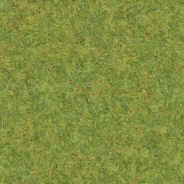 Grass0130 - Free Background Texture - grass short green seamless
