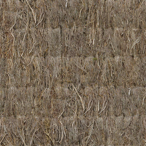 Thatched0024 - Free Background Texture - thatched roof roofing twigs