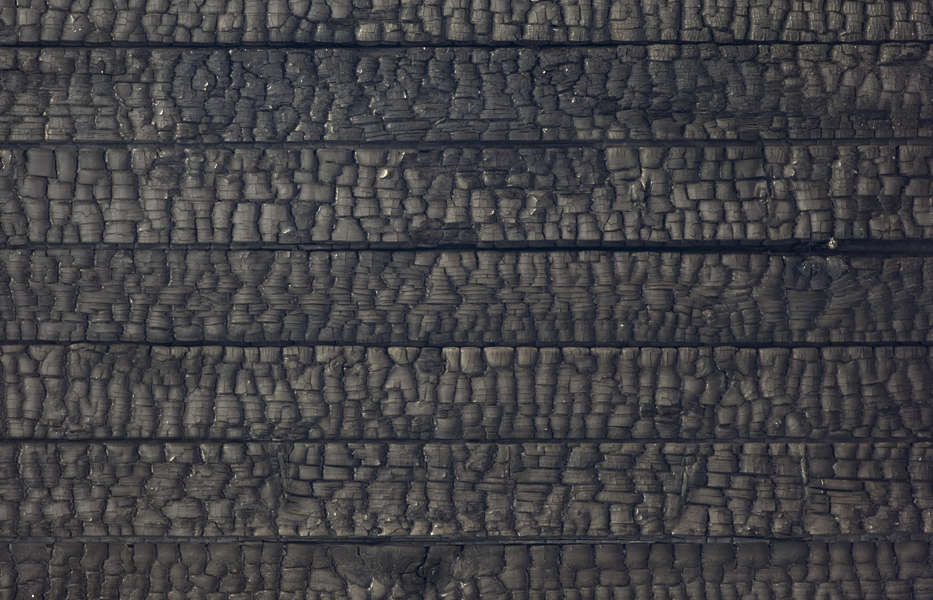 Woodburned0066 Free Background Texture Wood Burned