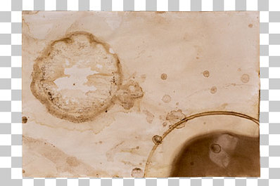 Stained Paper