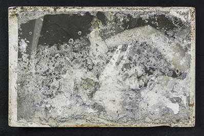 Photographs Moldy
