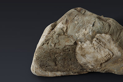 Rocks
