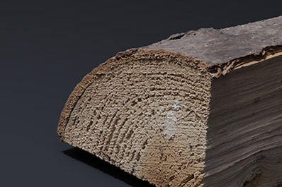 Wood - Chunks