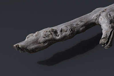 Wood - Sticks