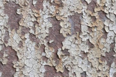 Rusted Paint