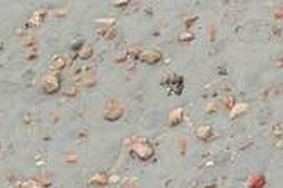 Sand with Pebbles