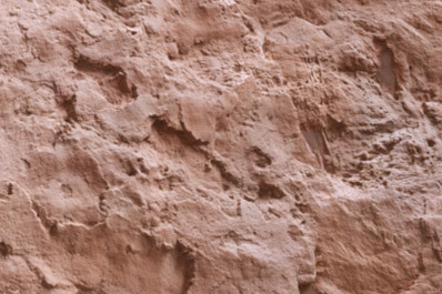 Arid