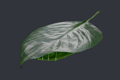 Plant Modelling
