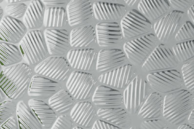 Cells