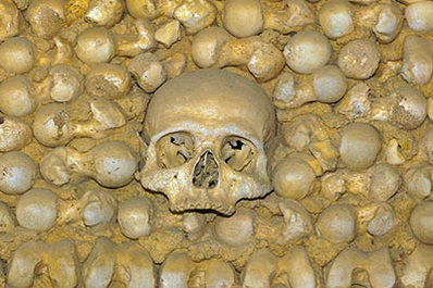 Bones