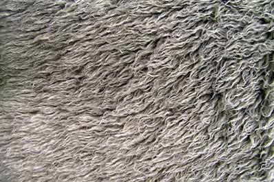 Fur
