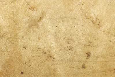 Fiberglass