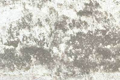 White Worn
