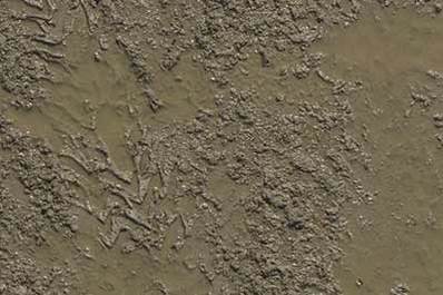 Mud