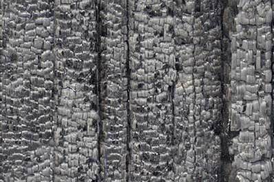 Planks