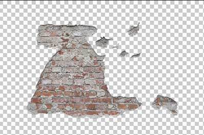 Bricks Exposed