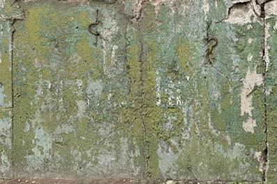 Mossy