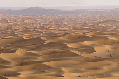 Desert