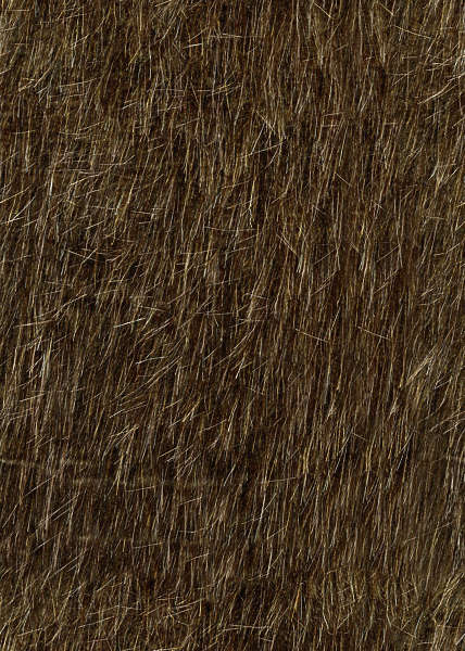 fur texture animal hairy textures nature skin animals brown beige 8bit