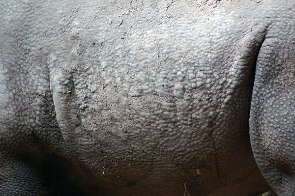 textures for rhino download free textures for rhino download free