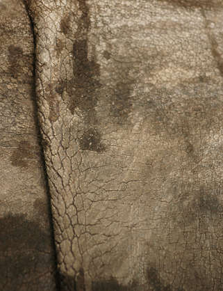 rhino texture download rhino texture download