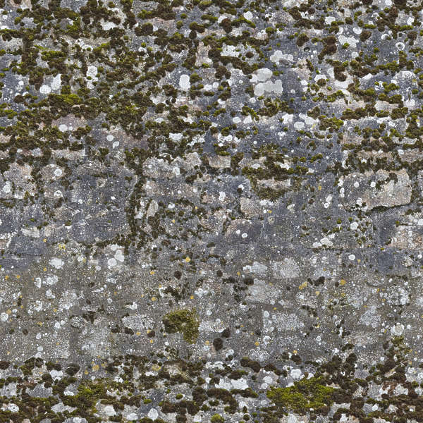 BrickOldOvergrown0044 - Free Background Texture - moss mossy brick medieval green seamless ...