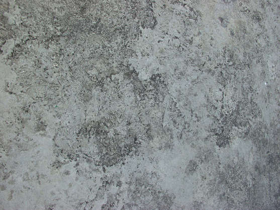 Concretefloors0001 Free Background Texture Concrete Dirty