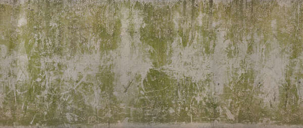 ConcreteMossy0114 - Free Background Texture - concrete mossy weathered