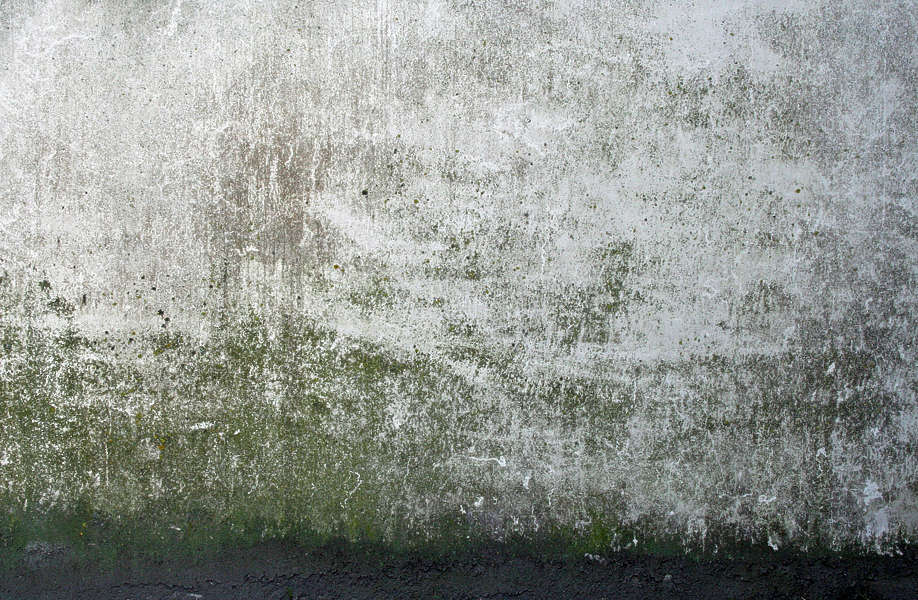 ConcreteMossy0014 - Free Background Texture - concrete dirty moss green