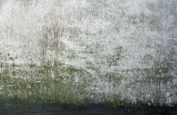 ConcreteMossy0014 - Free Background Texture - concrete