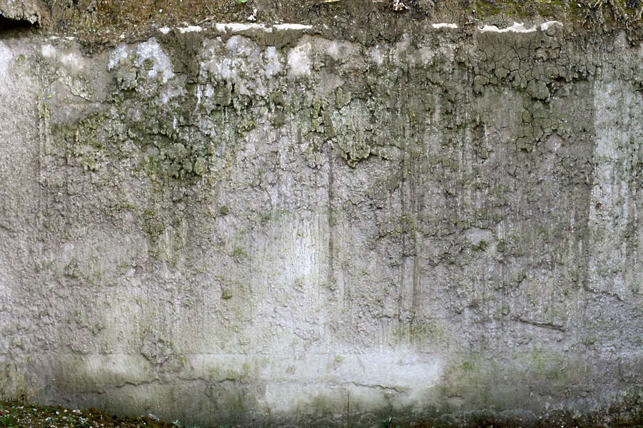 ConcreteRough0062 Free Background Texture concrete rough sprayed