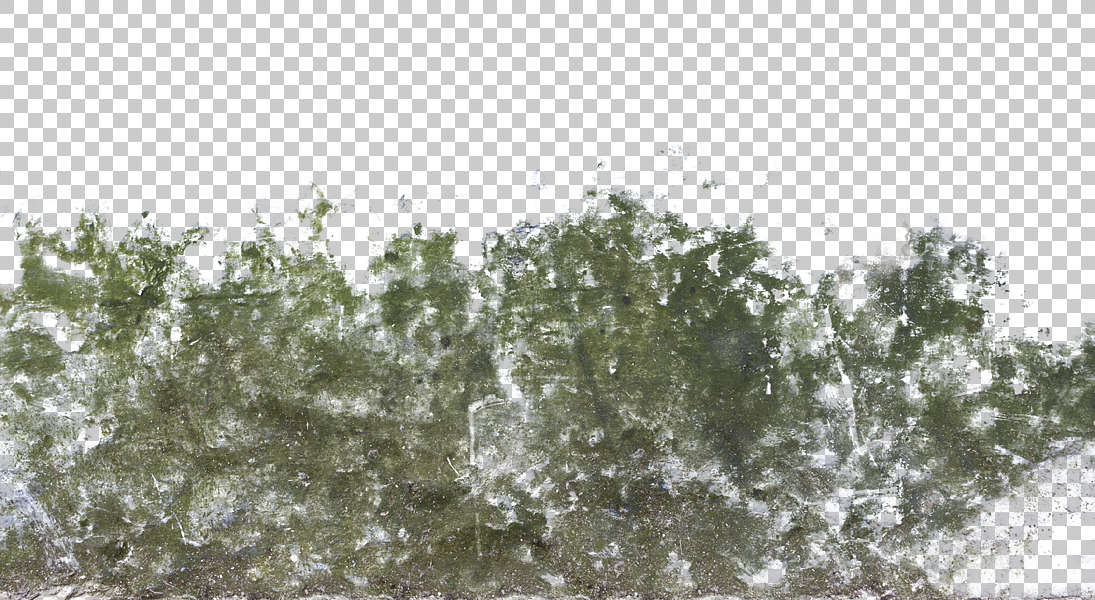 Texture cpp. Текстура грязи. Текстура мха и грязи. Текстура грязи прозрачная. Грязь на прозрачном фоне.