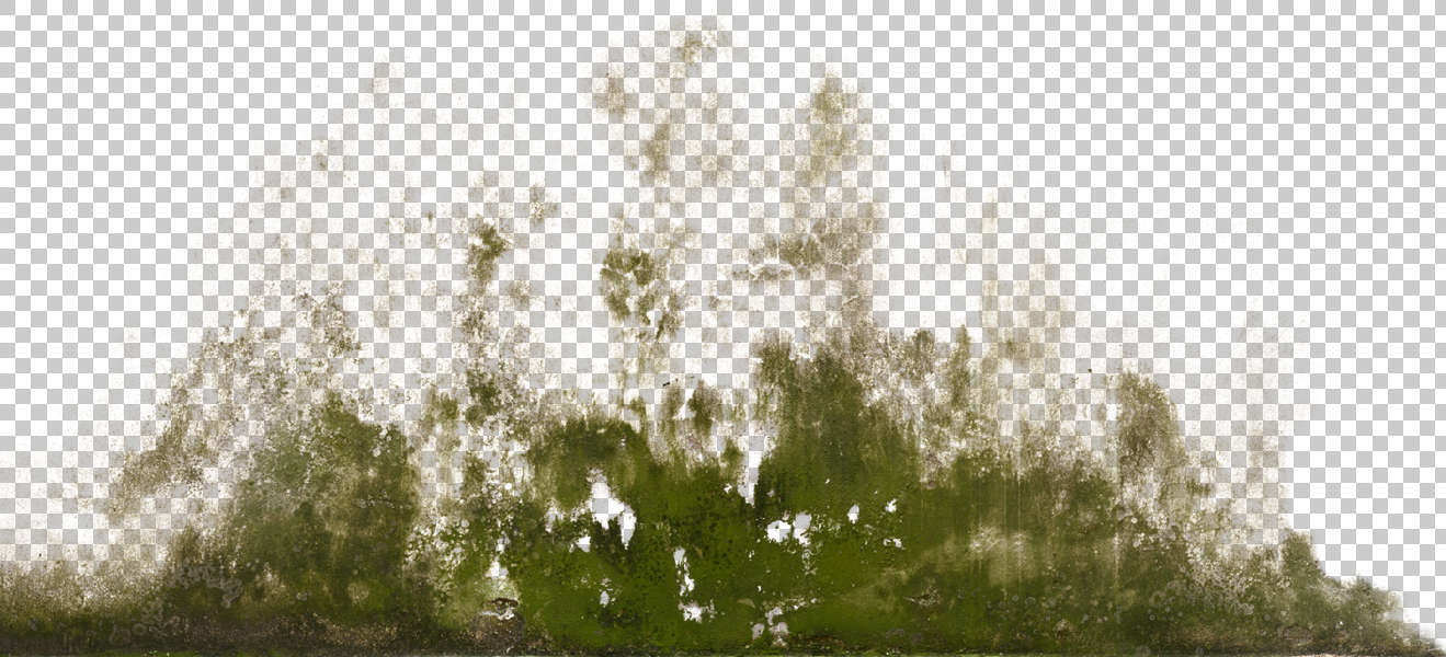 texture tiles water Free Texture venice Background italy DecalsStain0090 texture tiles water Free Texture venice Background italy DecalsStain0090