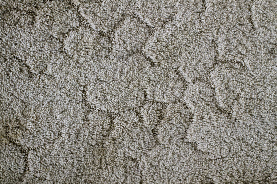 Carpet0048 - Free Background Texture - carpet fabric light gray grey