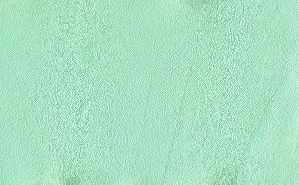 Leather0029 - Free Background Texture - leather fine green saturated