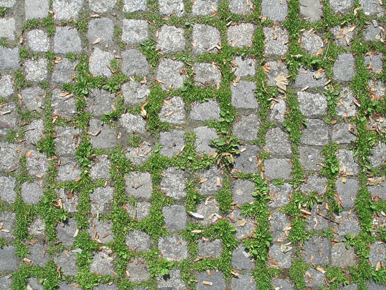 garden texture tiles Free tiles brick Background FloorsMedieval0063 Texture garden texture tiles Free tiles brick Background FloorsMedieval0063 Texture