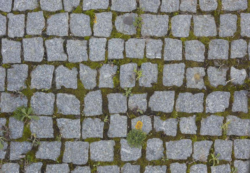 FloorStreets0062 Free Background Texture cobblestone floor cobble