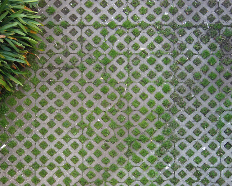 FloorsVarious0024 - Free Background Texture - brick floor grass green