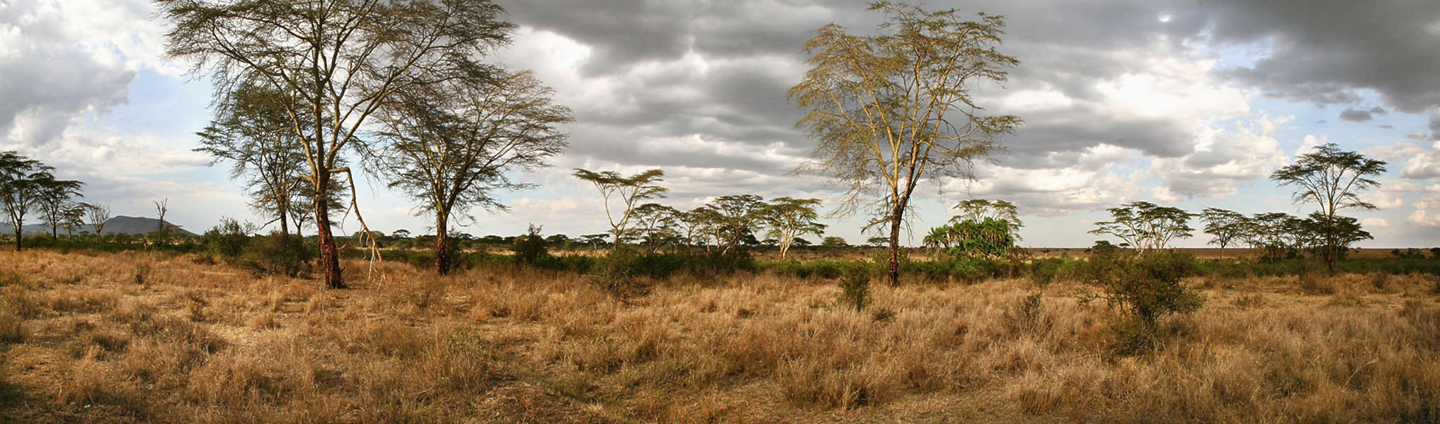 LandscapeVarious0057 - Free Background Texture - landscape africa