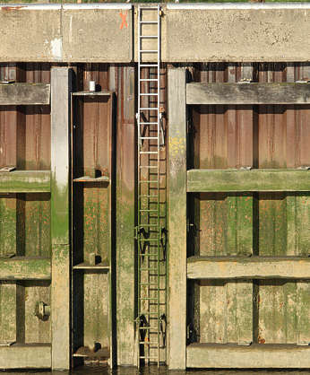 legacy bulkhead download free legacy bulkhead download free