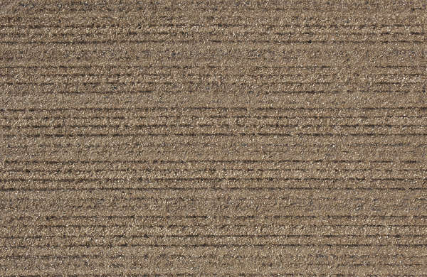 beige tracks