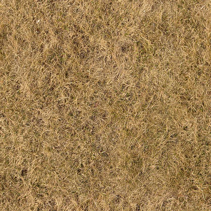 GrassDead0042 - Free Background Texture - grass dead dry short brown