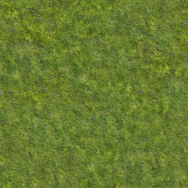 Grass0027 - Free Background Texture - grass short green saturated