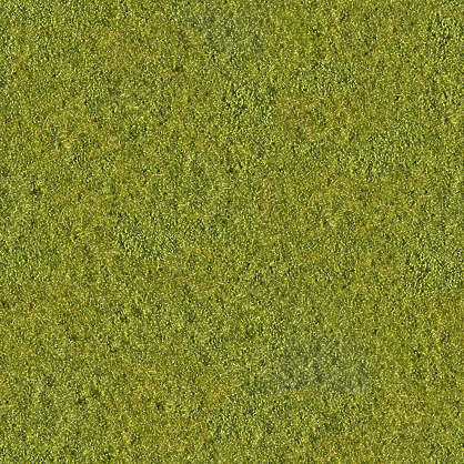 Grass0053 - Free Background Texture - grass short green seamless ...