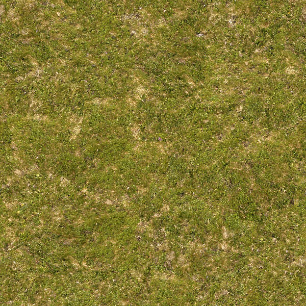 Grass0059 - Free Background Texture - grass short green seamless ...