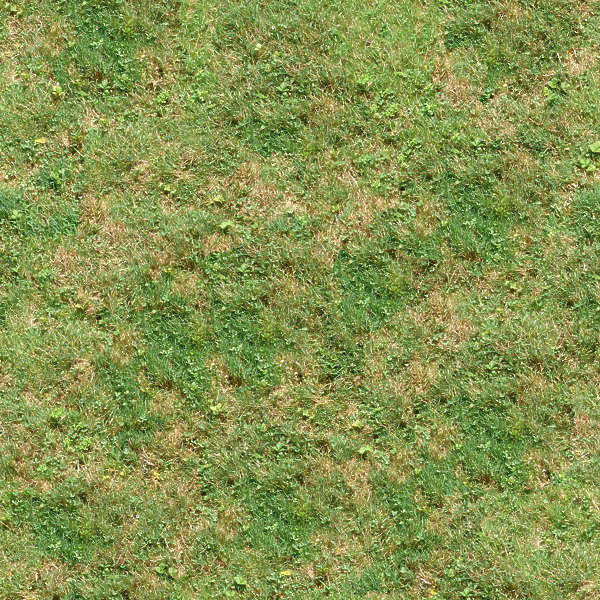 Grass0093 - Free Background Texture - grass short yellow green beige ...