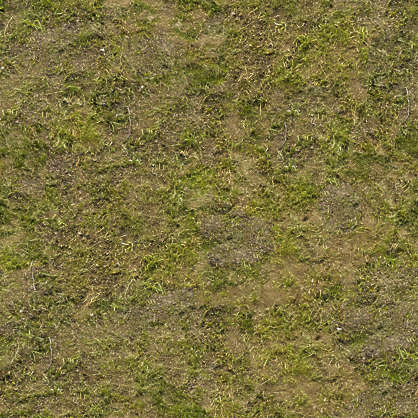 Sand grass texture seamless - gragmojo